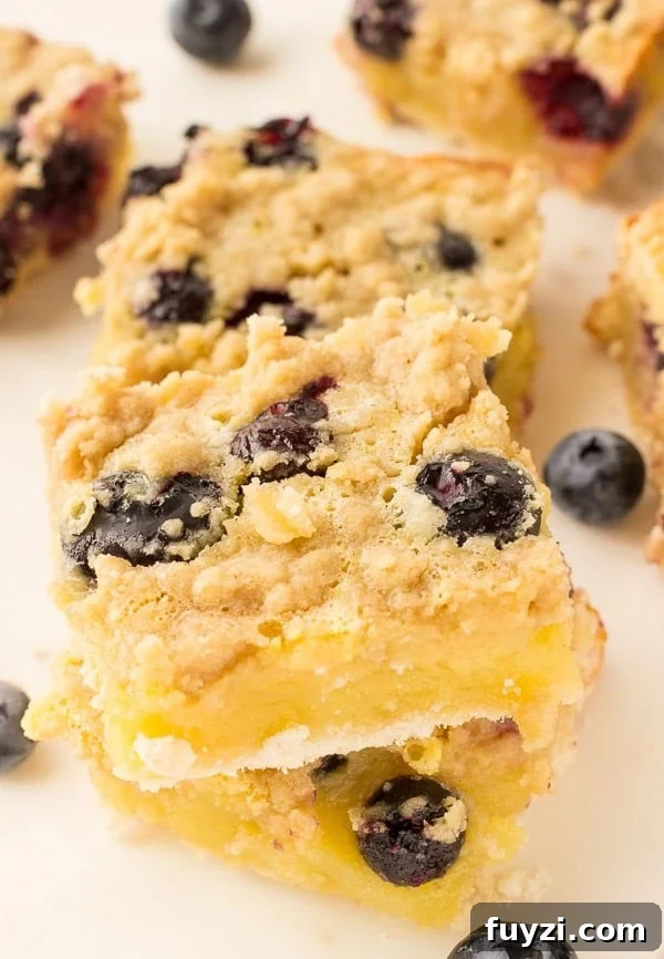 Blueberry Lemon Bars with Buttery Shortbread Crust 2 Blueberry Lemon Bars Recipe