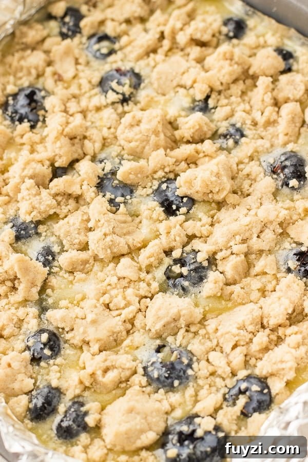 Blueberry Lemon Bars with Buttery Shortbread Crust 3 Blueberry Lemon Crumble Bars