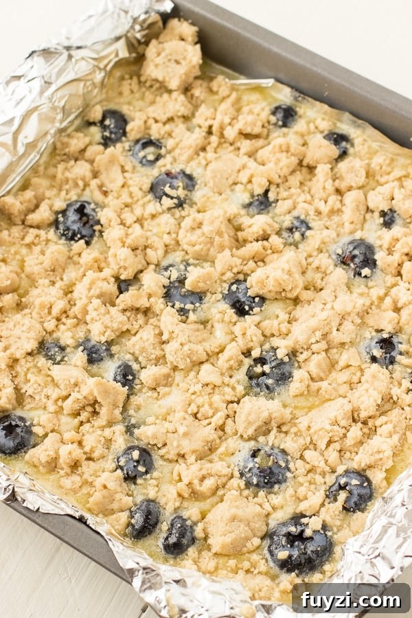 Blueberry Lemon Bars with Buttery Shortbread Crust 4 img 9209 4