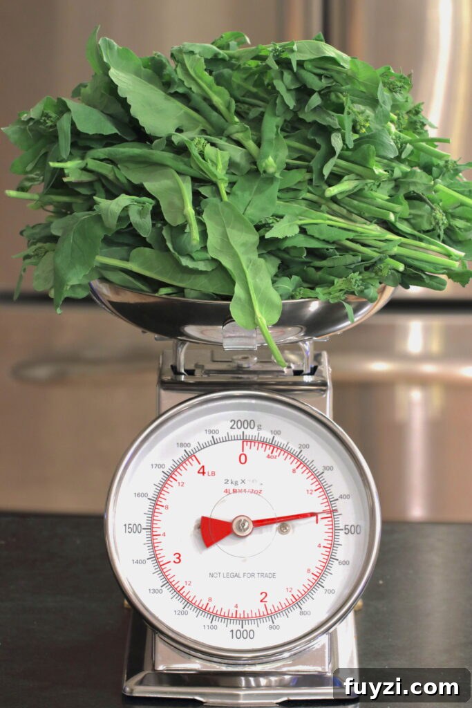 Weighing freshly harvested broccoli rabe on a scale