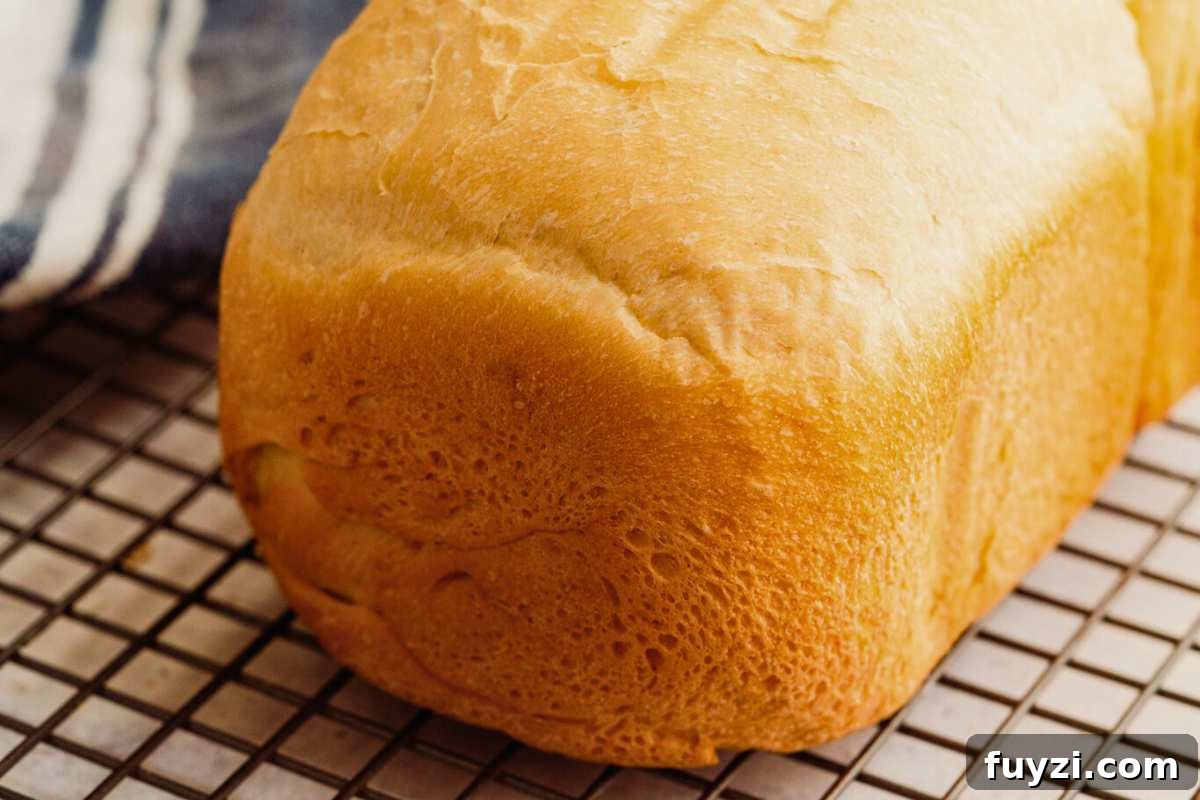 close up angled shot of bread loaf cooling on wire rack.