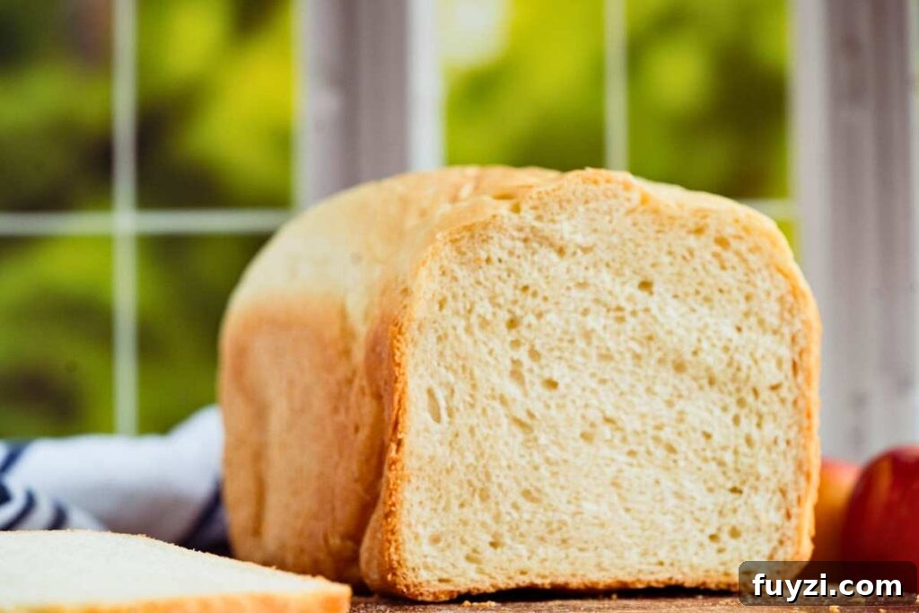 front shot of bread loaf sliced to reveal the inside with a slice lying down on the bottom left side.