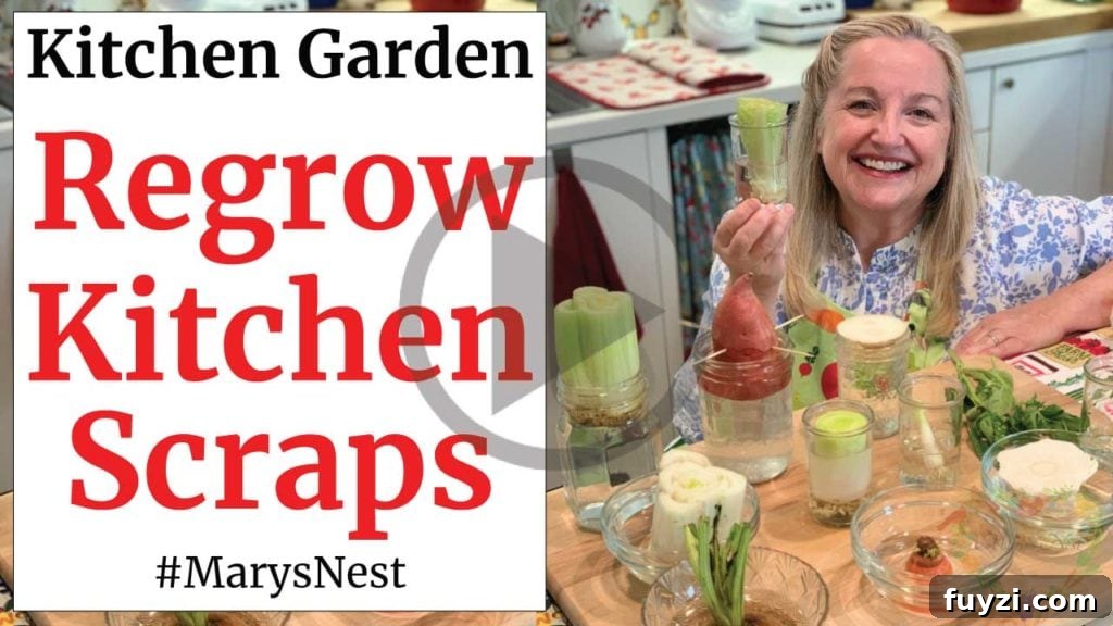 Regrowing vegetables from kitchen scraps