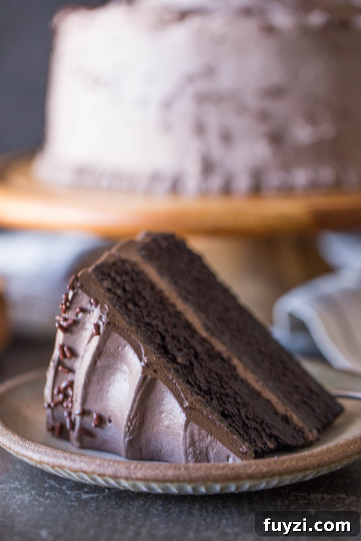 A slice of Dark Chocolate Cake With Whipped Cream Frosting on a plate, with the rest of the cake on a cake stand in the background. 