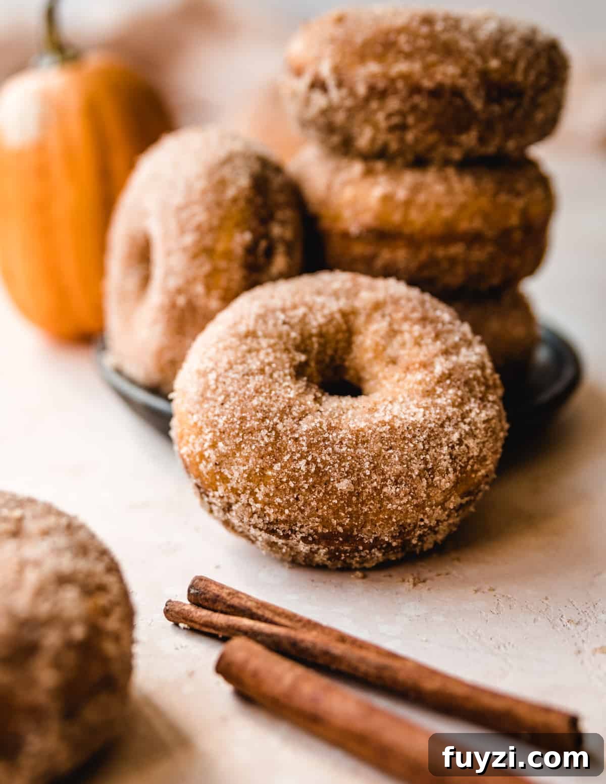 Pumpkin Cake Donuts with Cinnamon Glaze Recipe 3 The sweet cinnamon sugar coating on these pumpkin donuts provides just the right touch of crunchy and sweet.