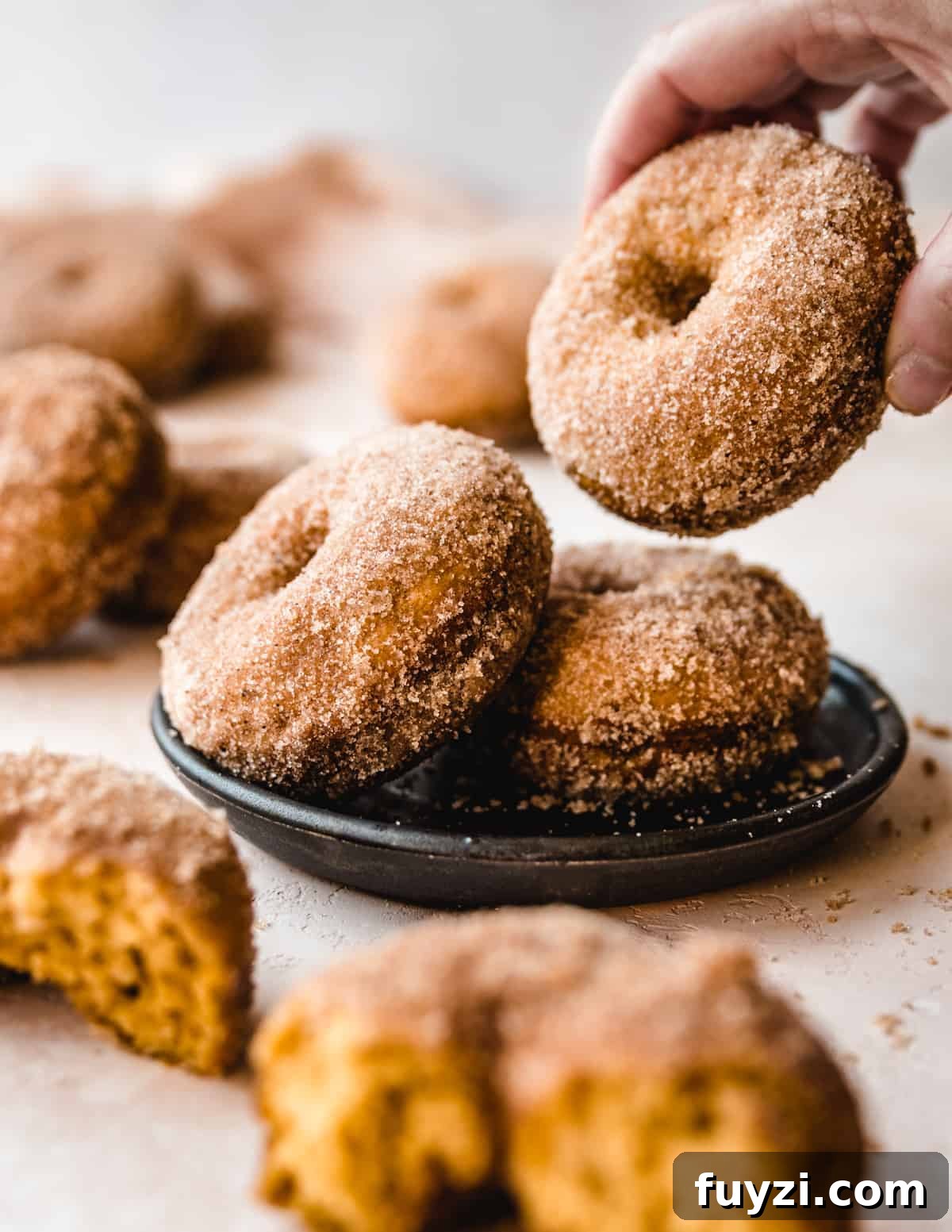Pumpkin Cake Donuts with Cinnamon Glaze Recipe 6 Baked pumpkin donuts are the perfect way to start a crisp fall day.